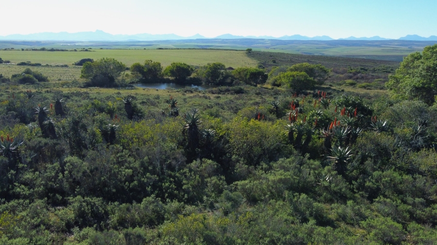 Commercial Property for Sale in Mossel Bay Rural Western Cape